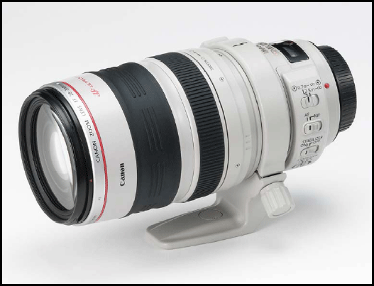 Canon Zoom Wide Angle-Telephoto EF 28-300mm f/3.5-5.6L IS USM Autofocus Lens
