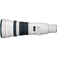 Canon EF 800mm f/5.6L IS USM Autofocus Lens